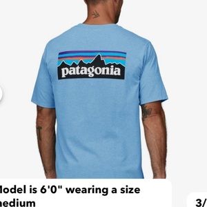 Mens p-6 Patagonia shirt
